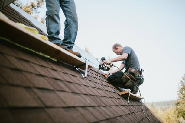 Roof Gutter Cleaning in Burnsville, NC