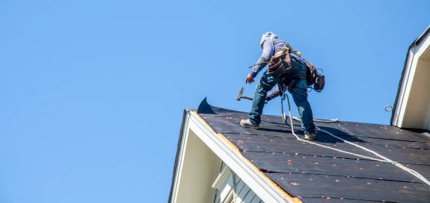 Best Roof Maintenance Services  in Burnsville, NC